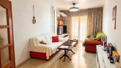 Pis – Albacete, Congo, El Pilar - Vista 2