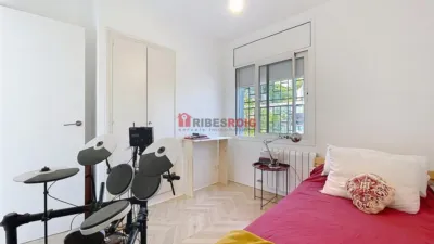 House in Mas Mestre photo 13