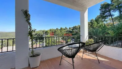 House in Mas Mestre photo 7