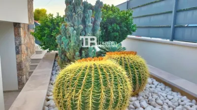 Chalet on Carrer Pinar photo 18