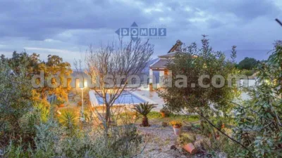 Rustic finca in El Gastor photo 2