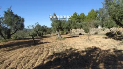Rustic farm in Horta de Sant Joan photo 10