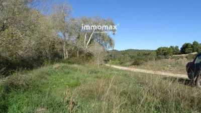 Rustic farm in Horta de Sant Joan photo 5