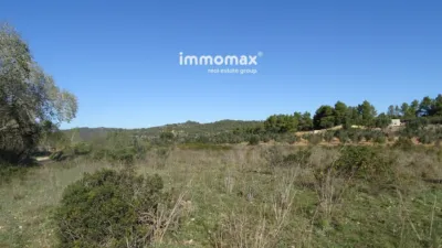 Rustic farm in Horta de Sant Joan photo 6
