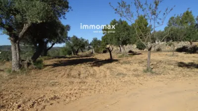 Rustic farm in Horta de Sant Joan photo 9