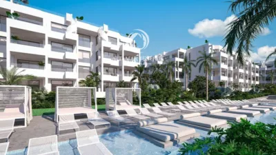 Apartment in Palm-Mar photo 3