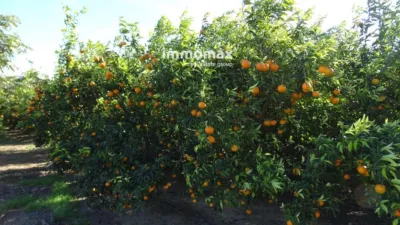 Rustic property in Bitem photo 16