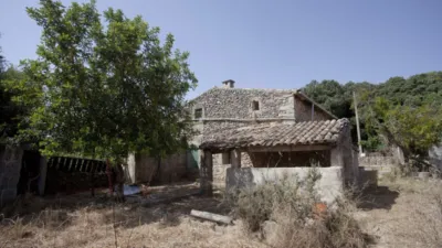 Rustic finca in Pollença-Pto.Pollença photo 29