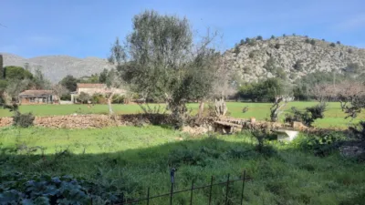 Rustic finca in Pollença-Pto.Pollença photo 34