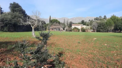 Rustic finca in Pollença-Pto.Pollença photo 35