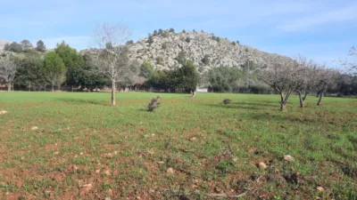 Rustic finca in Pollença-Pto.Pollença photo 36