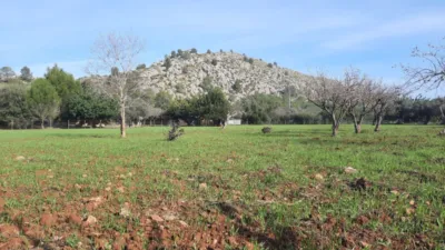 Rustic finca in Pollença-Pto.Pollença photo 38