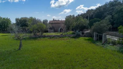 Rustic finca in Pollença-Pto.Pollença photo 39