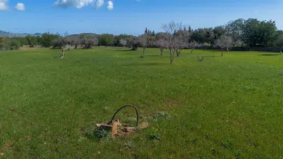 Rustic finca in Pollença-Pto.Pollença photo 40