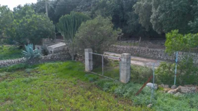 Rustic finca in Pollença-Pto.Pollença photo 41