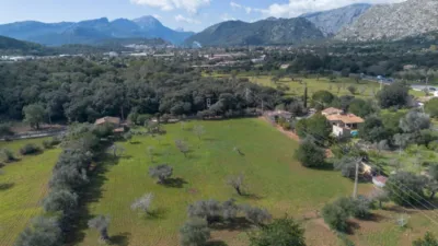Rustic finca in Pollença-Pto.Pollença photo 9