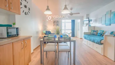 Studio in Mesa del Mar Urbanization photo 25