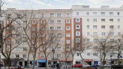 Apartment in Retiro photo 23