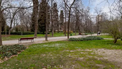 Apartment in Retiro photo 25