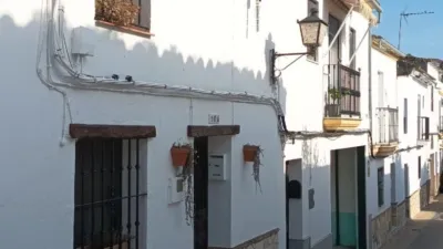 House on Domingo López Carvajal y Palomar Street photo 2