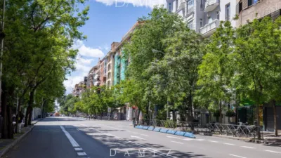 Apartment in the Salamanca District photo 33