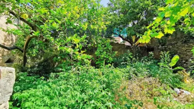 House in Santa Margalida Pueblo photo 14