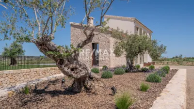 House in Sineu photo 43