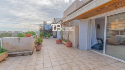 Attic on Carrer d'Anselm Turmeda photo 2