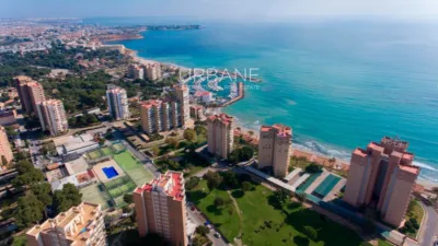 Apartment in Altos de Campoamor photo 44