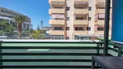 Apartment on Avenida Juan Carlos I photo 13