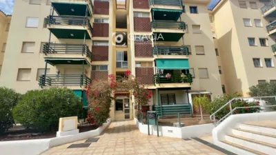 Apartment on Avenida Juan Carlos I photo 45