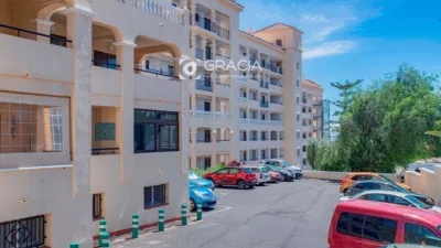 Studio in Los Cristianos photo 22