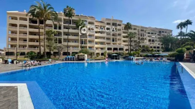 Studio in Los Cristianos photo 36