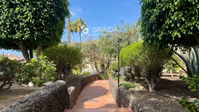 Studio in Los Cristianos photo 39