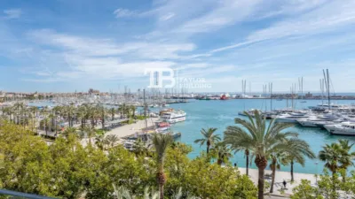 Penthouse on Avinguda de Gabriel Roca photo 10