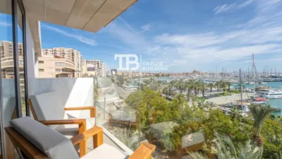 Penthouse on Avinguda de Gabriel Roca photo 15
