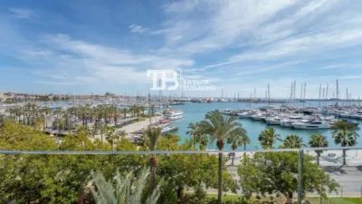 Penthouse on Avinguda de Gabriel Roca photo 22