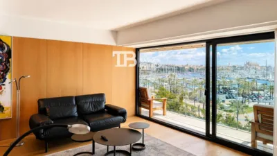 Penthouse on Avinguda de Gabriel Roca photo 23