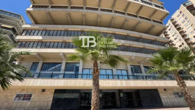 Penthouse on Avinguda de Gabriel Roca photo 28
