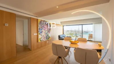 Penthouse on Avinguda de Gabriel Roca photo 8