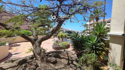 Apartment in Los Cristianos photo 19