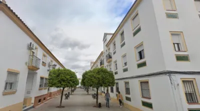 Apartment on Paseo de La Perdiz street photo 7