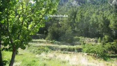 Rustic farm in Paüls photo 6