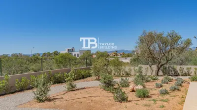 Villa on Carrer de Son Gual II photo 15
