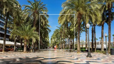 Apartment on Calle de la Virgen del Socorro photo 28