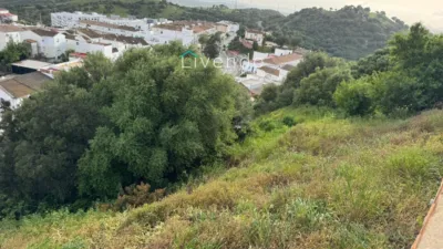 Chalet for sale in Alcalá de los Gazules photo 17