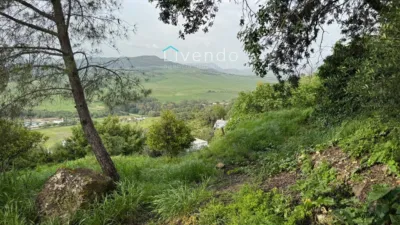Chalet for sale in Alcalá de los Gazules photo 20