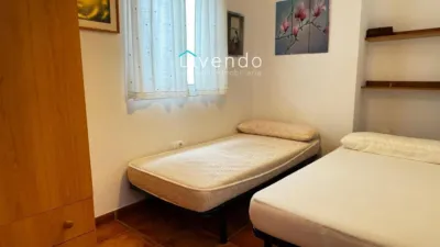 Apartment in Conil de la Frontera photo 8