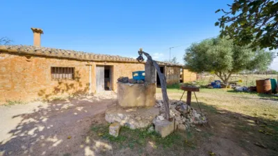 Finca rústica en Búger photo 5