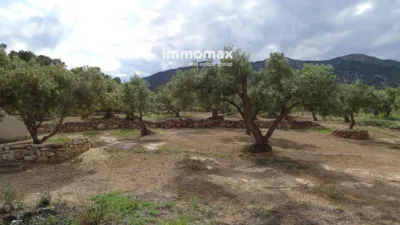 Rustic Finca in Xerta photo 10